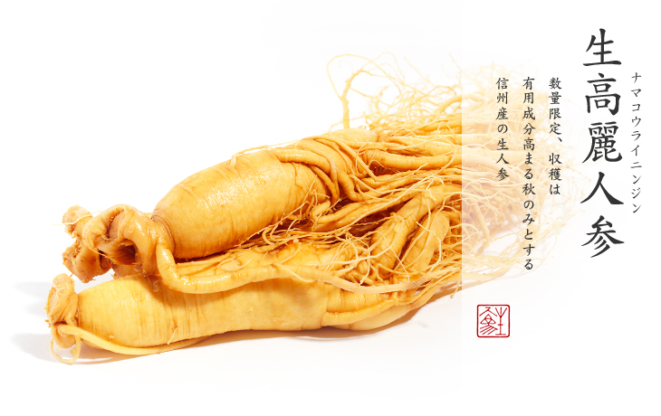 生高麗人参｜数量限定、収穫は有用成分高まる秋のみとする信州産の生人参