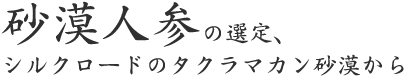 砂漠人参の選定、シルクロードのタクラマカン砂漠から