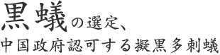 黒蟻の選定、中国政府認可する擬黒多刺蟻