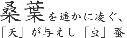 桑葉を遥かに凌ぐ、 「天」が与えし「虫」蚕