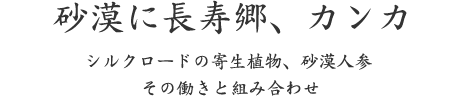 砂漠に長寿郷、カンカ｜シルクロードの寄生植物、砂漠人参 その働きと組み合わせ