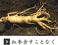 紅参余すことなく 紅参余すことなく