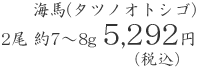 海馬(タツノオトシゴ) 2尾 約7～8g 5,292円(税込)